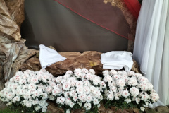 IMG20250422093758